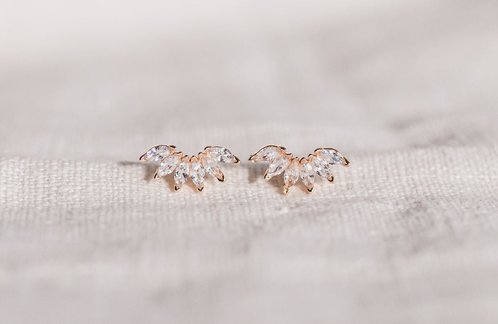 SPARKLE CURVE