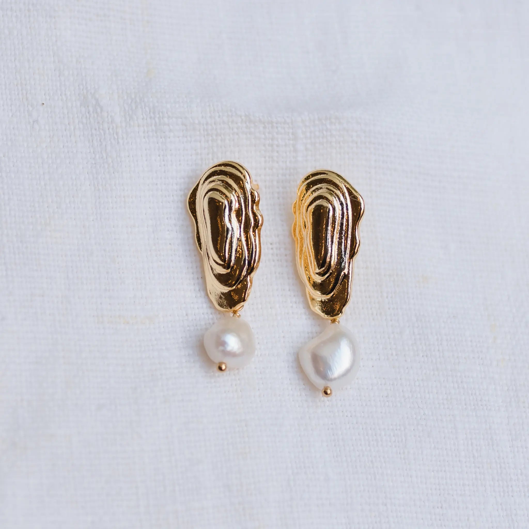 gold oyster with pearl earrings 